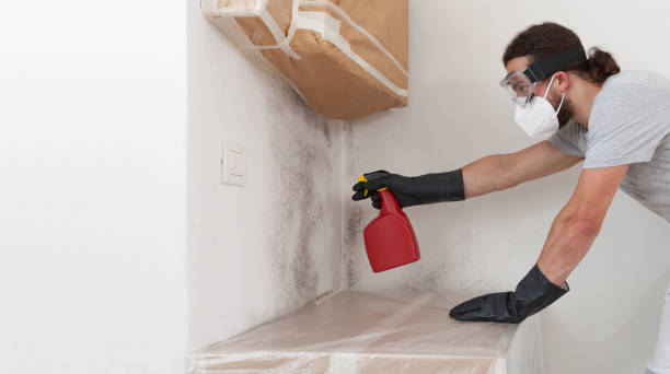 Professional Mold Remediation technician working in Kingston, NJ