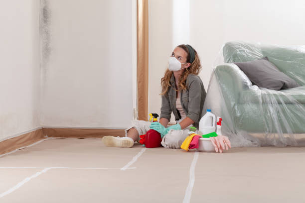 Reliable Mold Remediation contractor in Kingston, NJ by 24 Hour Mold Removal